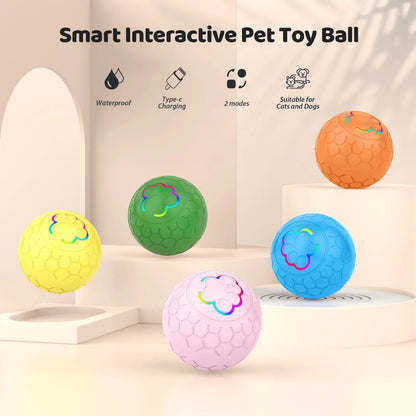 Interactive Jumping Ball for Dogs