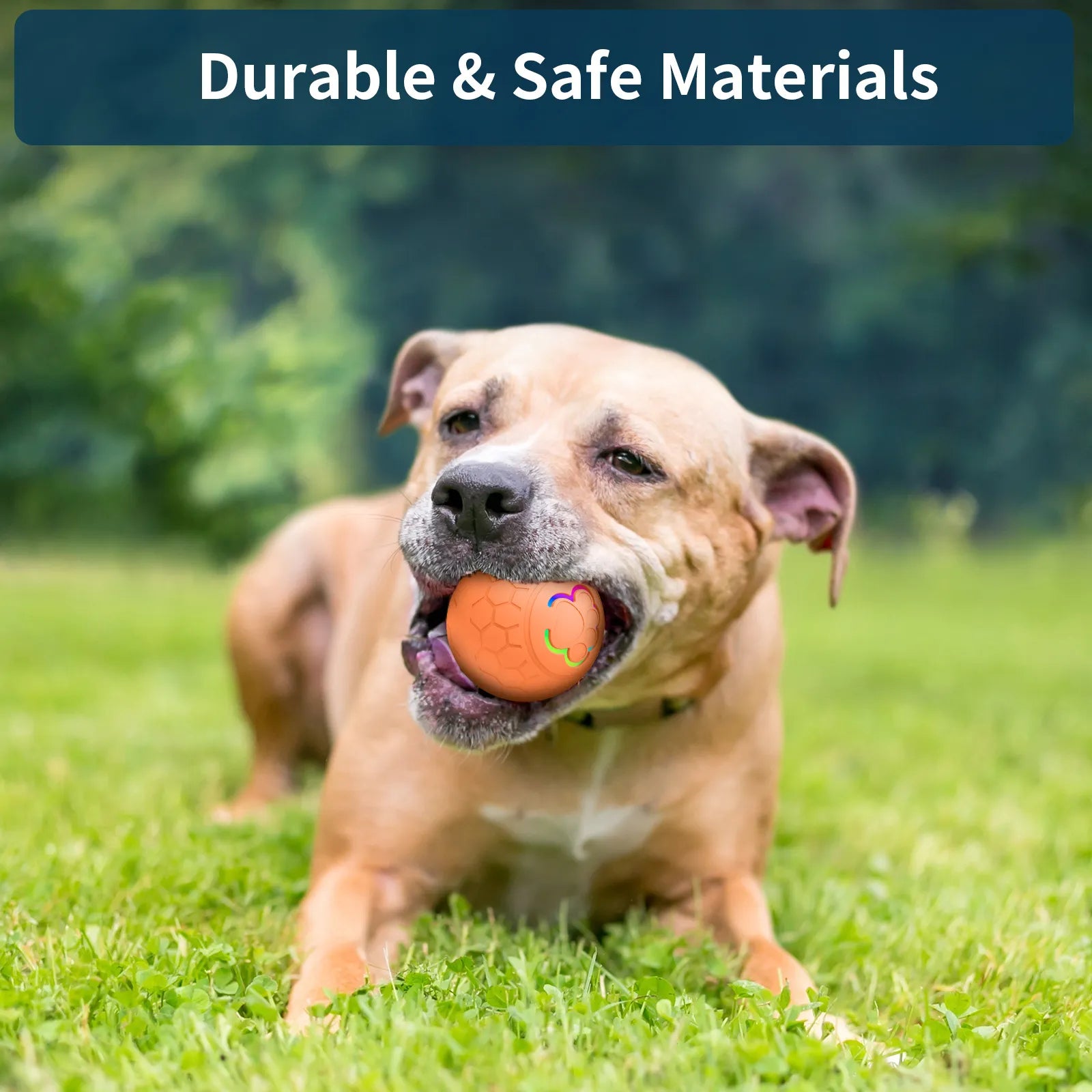 Interactive Jumping Ball for Dogs