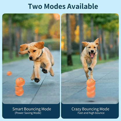 Interactive Jumping Ball for Dogs